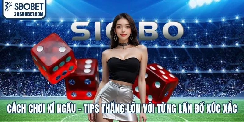 cach-choi-xi-ngau-tips-thang-lon-voi-tung-lan-do-xuc-xac