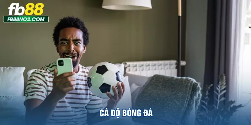 ca-do-bong-da
